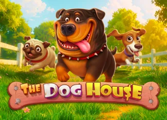 The Dog House Yüksek Volatilite Detaylı İnceleme